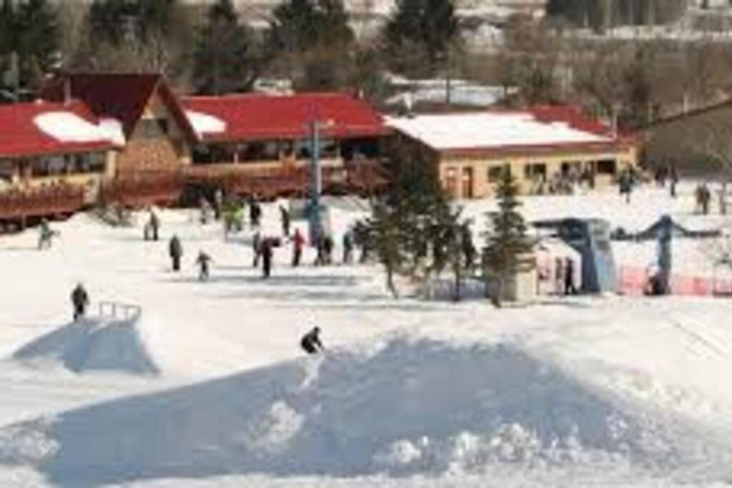 1913 Love Shack Bethel White Lake Ny Ngoại thất bức ảnh